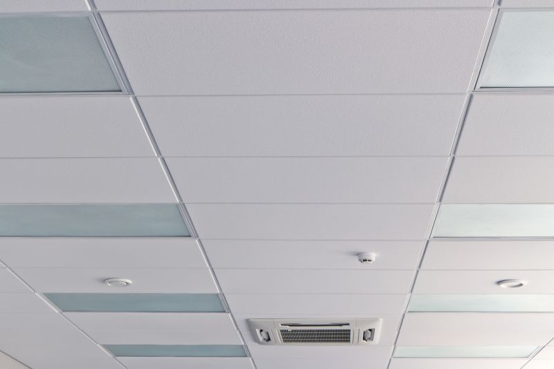 Ceiling Removal Service in Houston, TX