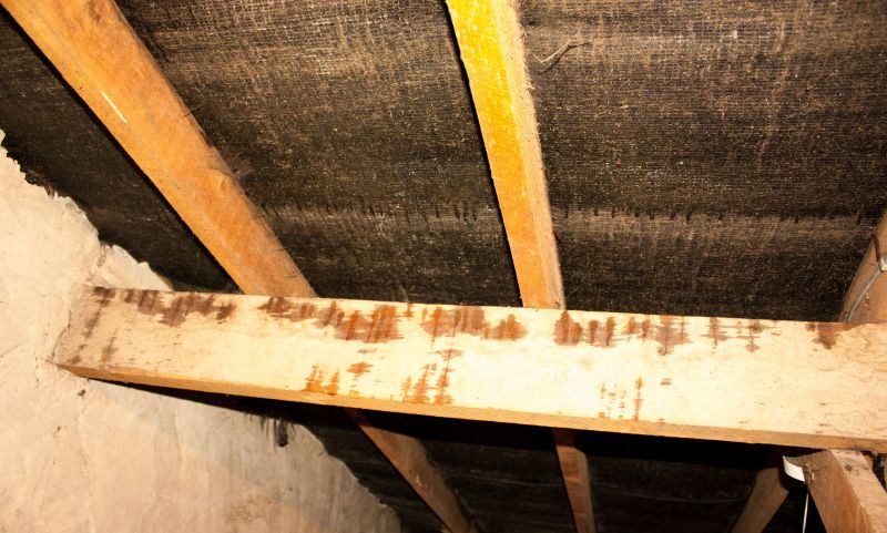 Leaking Ceiling Repair in Houston, TX